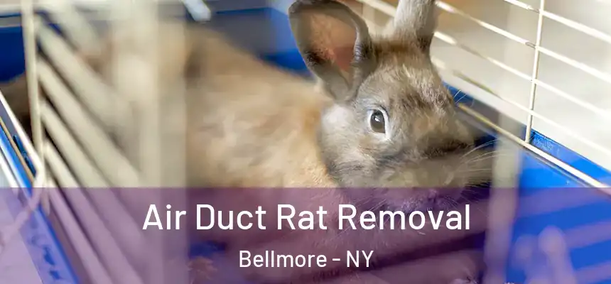  Air Duct Rat Removal Bellmore - NY