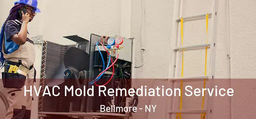  HVAC Mold Remediation Service Bellmore - NY