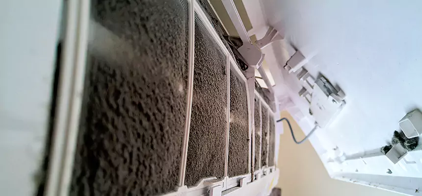 Preventive Air Duct Bacteria Removal in Bellmore