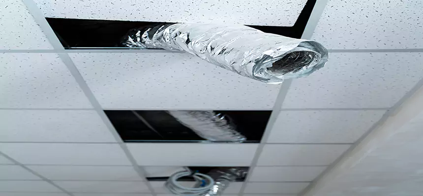 Our Air Duct Pet Hair Removal Services in Bellmore, NY