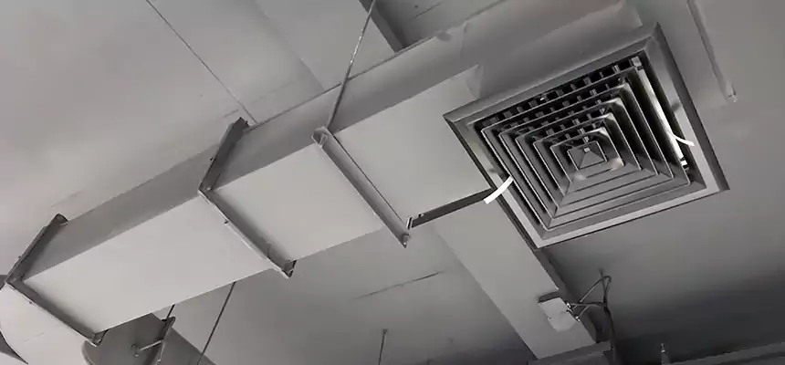 Restorative Allergy Relief Vent Cleaning – Coil, Blower & Housing Detail in Bellmore