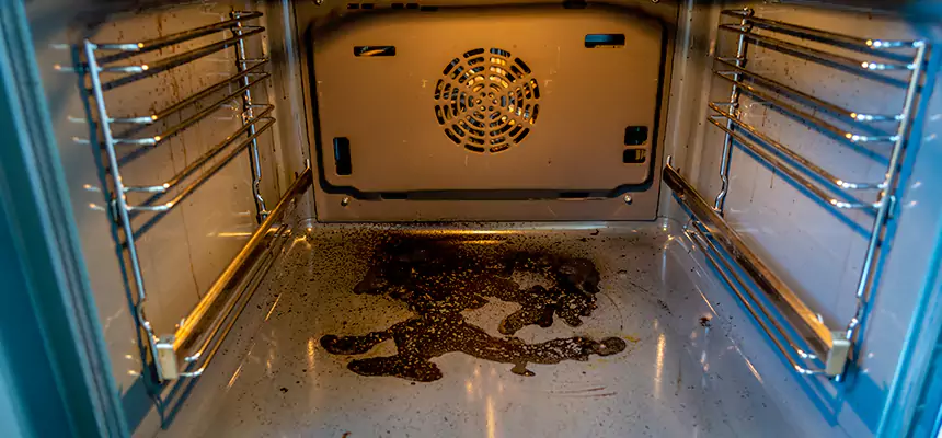 Our Dryer Vent Mold Cleaning Services in Bellmore, NY