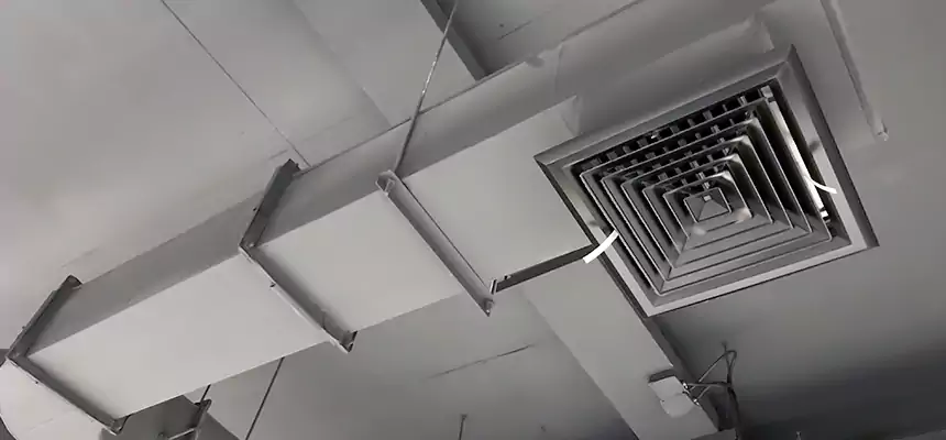 Our Pest Removal From Ducts Services in Bellmore, NY