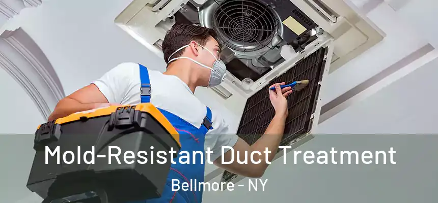 Mold-Resistant Duct Treatment Bellmore - NY