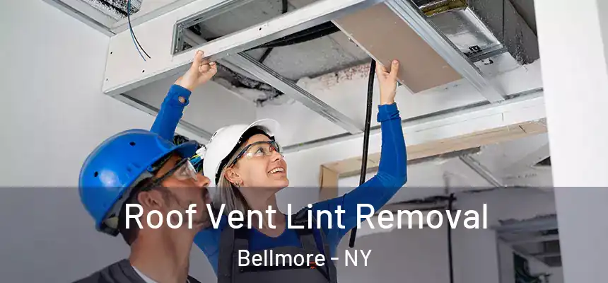  Roof Vent Lint Removal Bellmore - NY