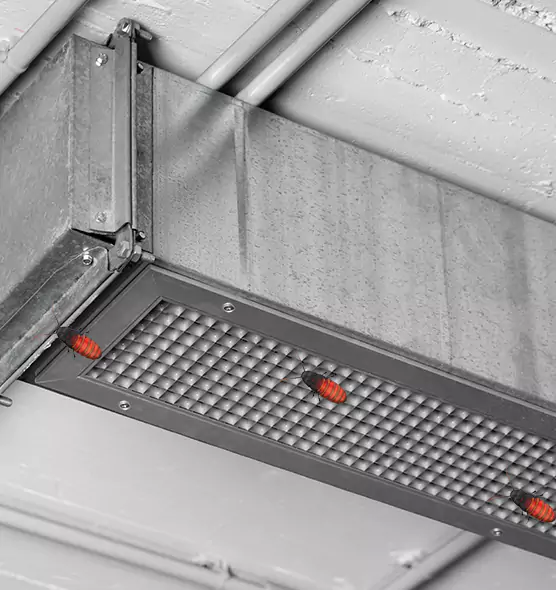 About Air Duct Cockroach Removal in Bellmore, NY