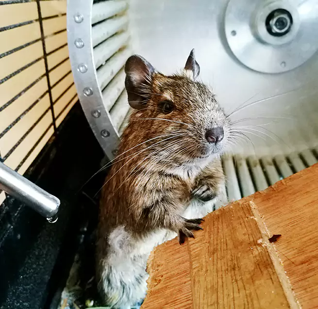 Why Homeowners & Businesses Trust Us Bellmore, NY